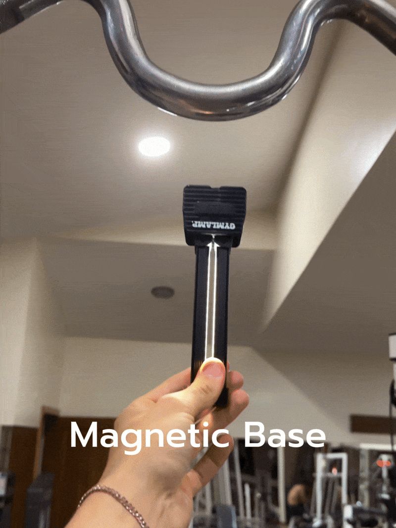 North Lamp Pro