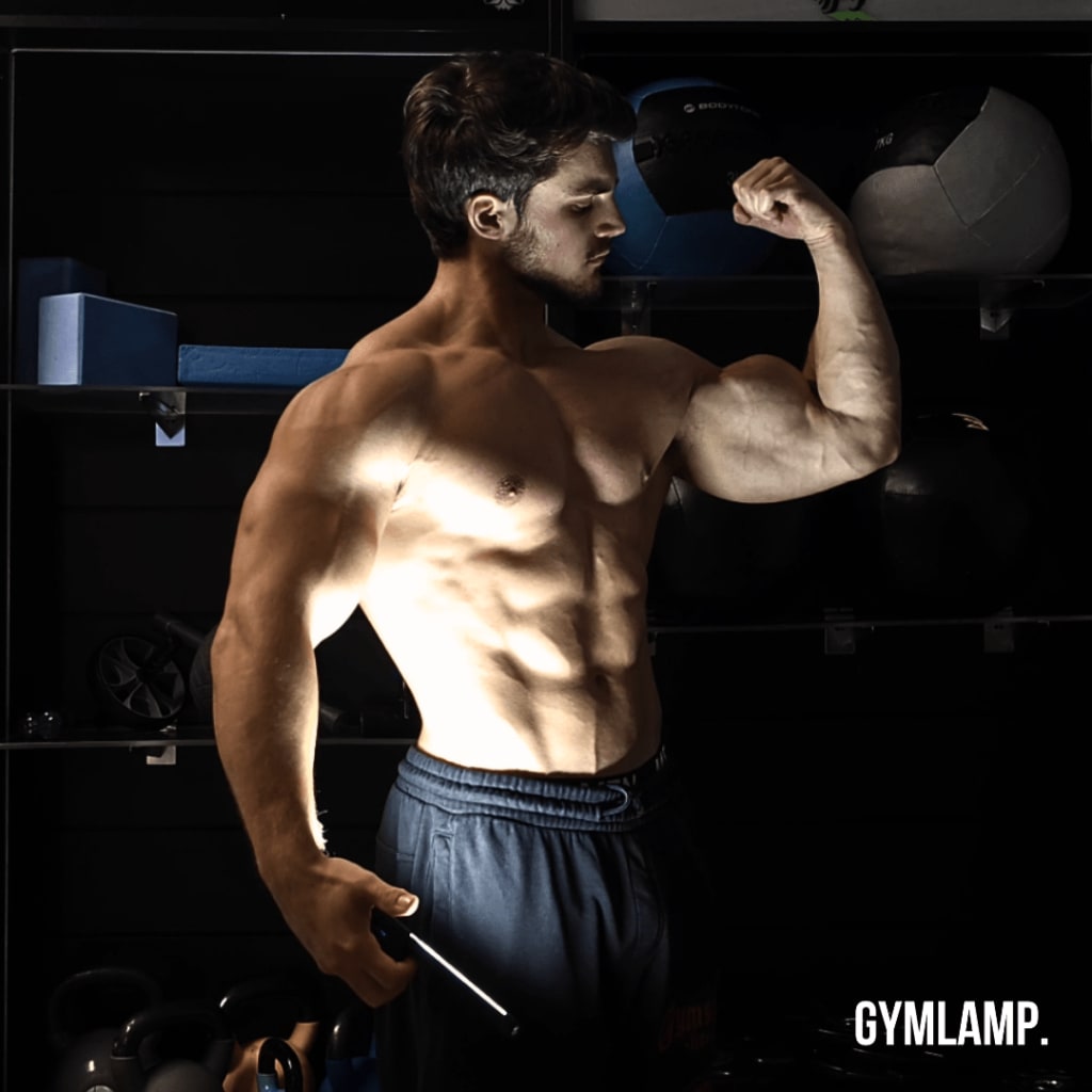 North Lamp Pro