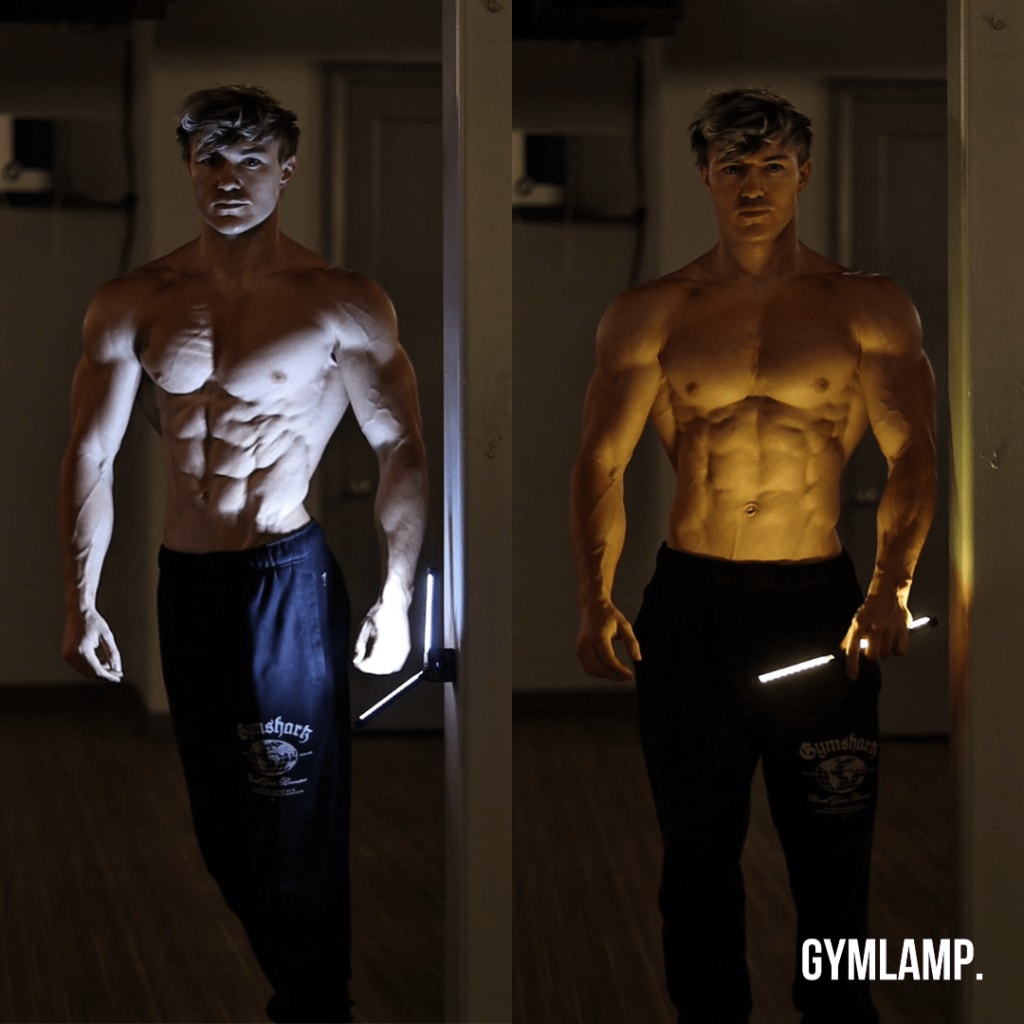 North Lamp Pro